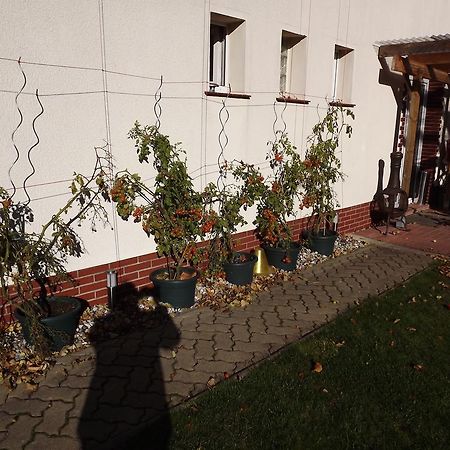 Pension Regenbogen Stralsund Exterior photo